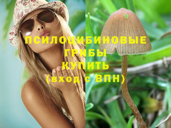 ГАЛЛЮЦИНОГЕННЫЕ ГРИБЫ Арсеньев