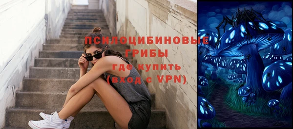 ГАЛЛЮЦИНОГЕННЫЕ ГРИБЫ Арсеньев