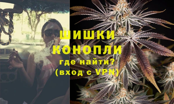 ГАЛЛЮЦИНОГЕННЫЕ ГРИБЫ Арсеньев