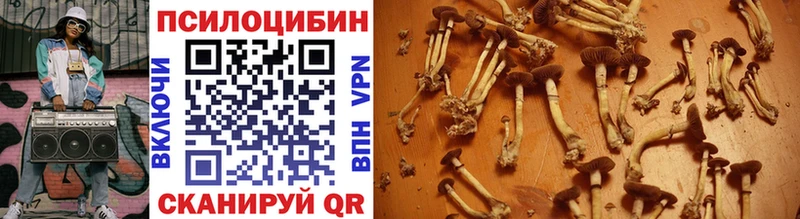 Псилоцибиновые грибы Magic Shrooms Краснослободск