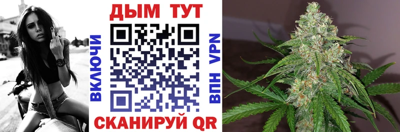 где можно купить наркотик  Краснослободск  блэк спрут зеркало  МАРИХУАНА семена 